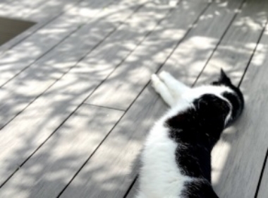 Photo Gallery: Lightweight Decking 2